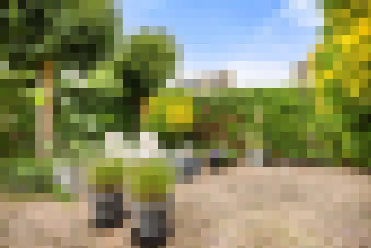 Kleine Zonnedauw 3 Velserbroek thumbnail 47