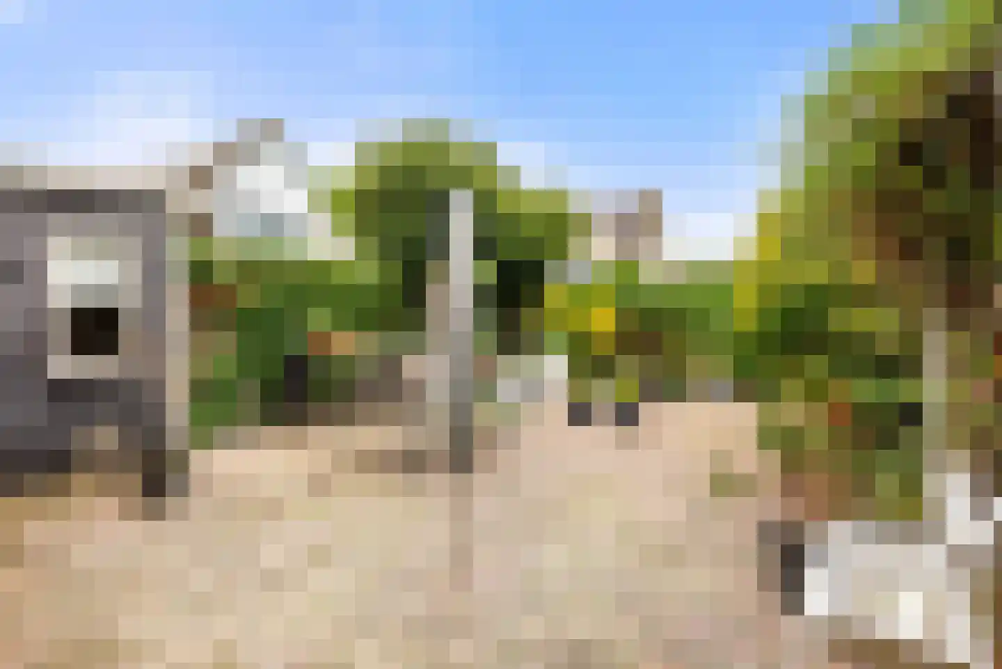 Kleine Zonnedauw 3 Velserbroek thumbnail 48