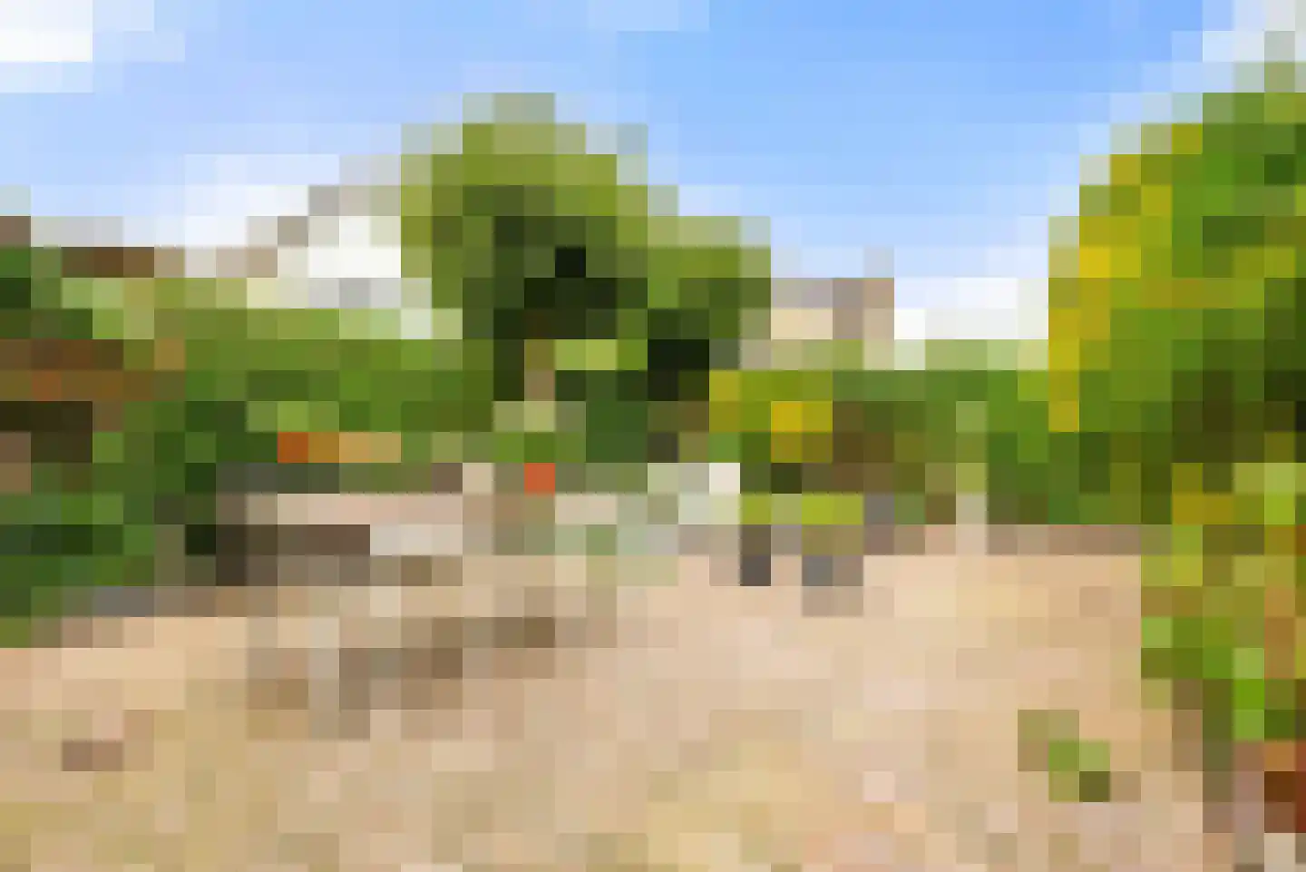 Kleine Zonnedauw 3 Velserbroek thumbnail 49