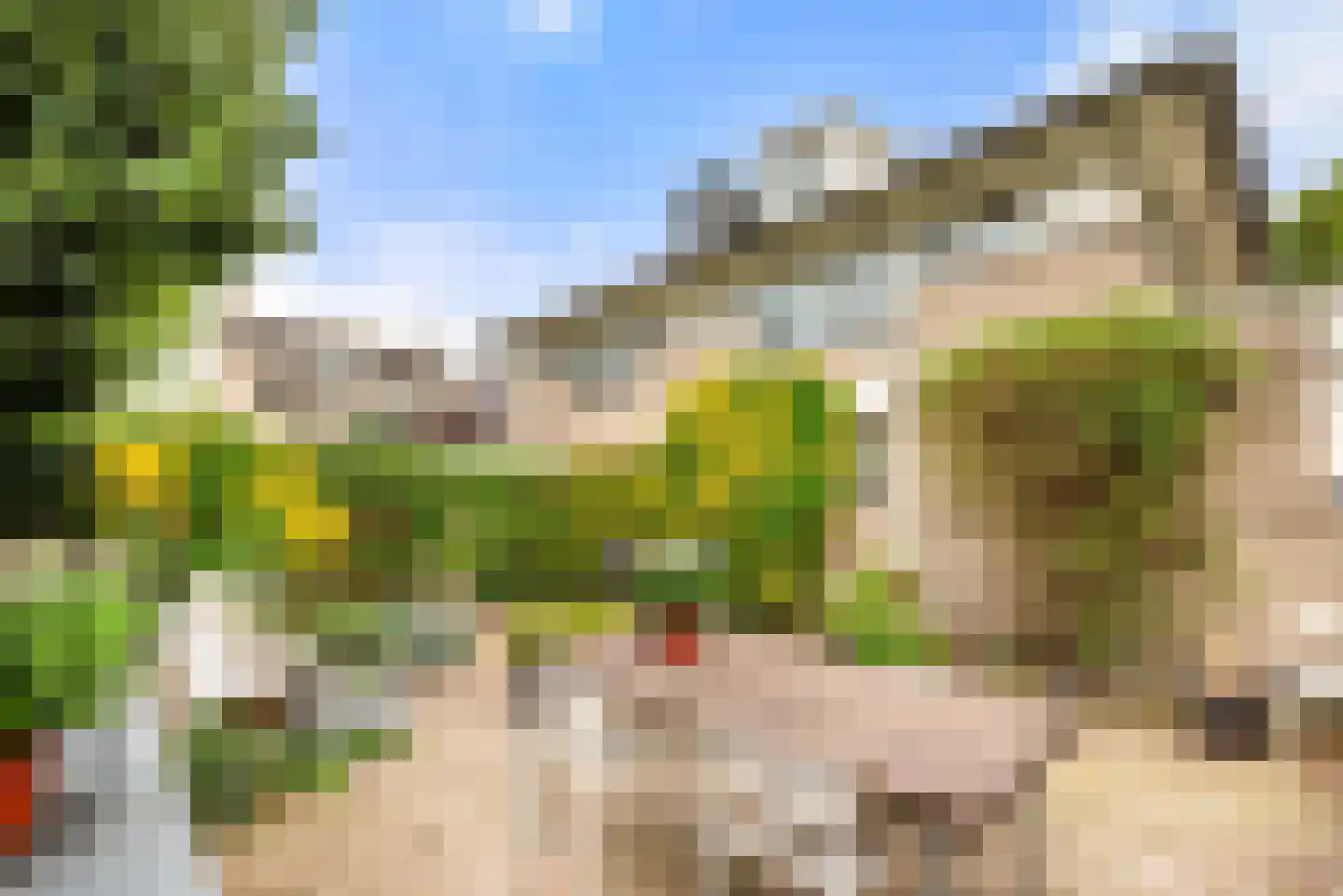 Kleine Zonnedauw 3 Velserbroek thumbnail 50