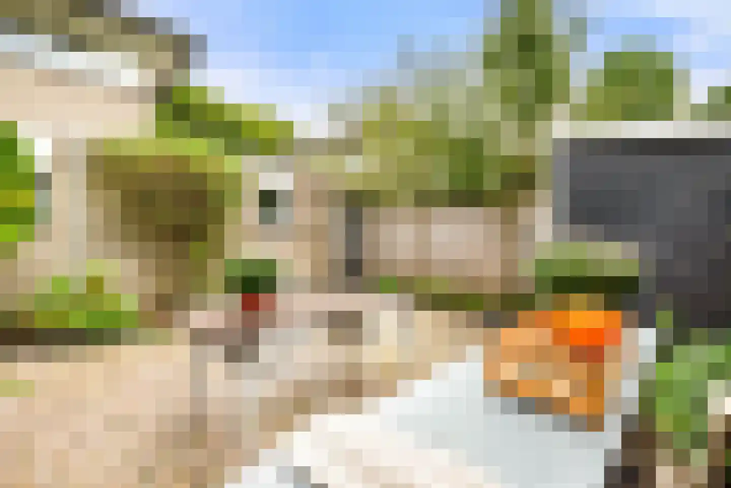 Kleine Zonnedauw 3 Velserbroek thumbnail 51