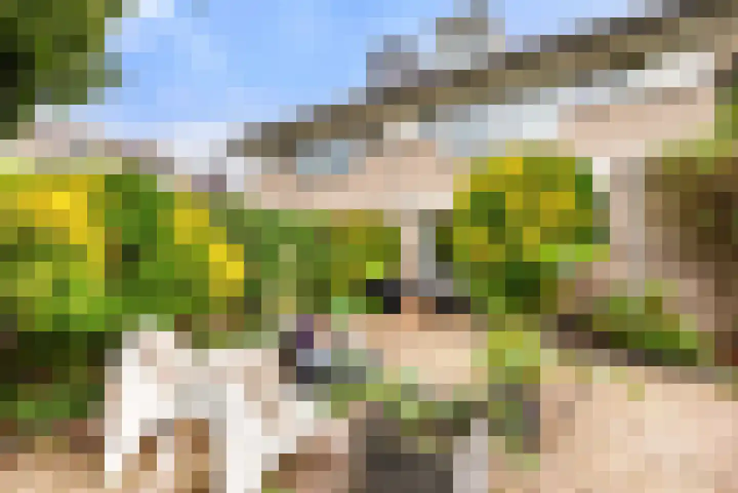 Kleine Zonnedauw 3 Velserbroek thumbnail 52