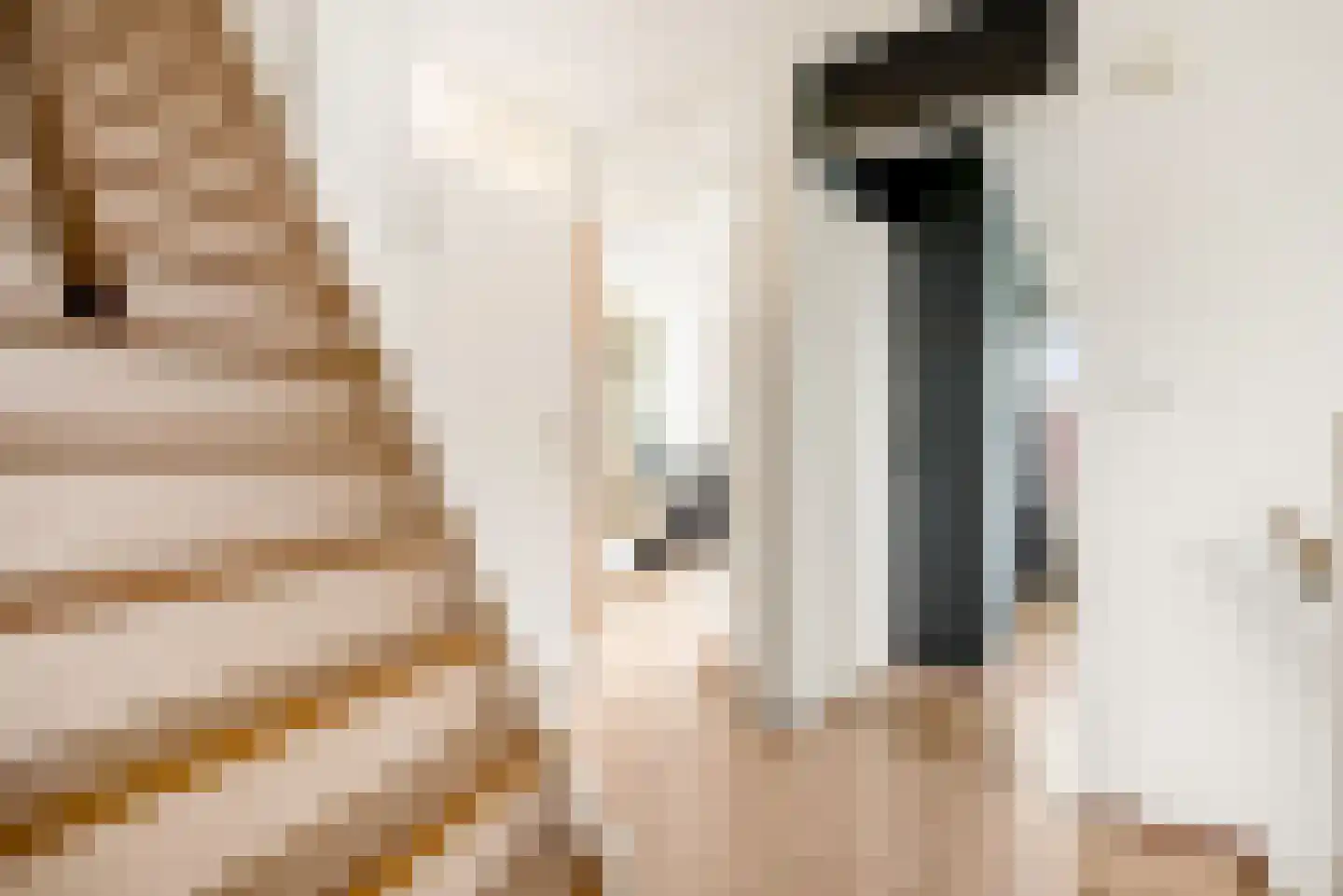 Kleine Zonnedauw 3 Velserbroek thumbnail 58