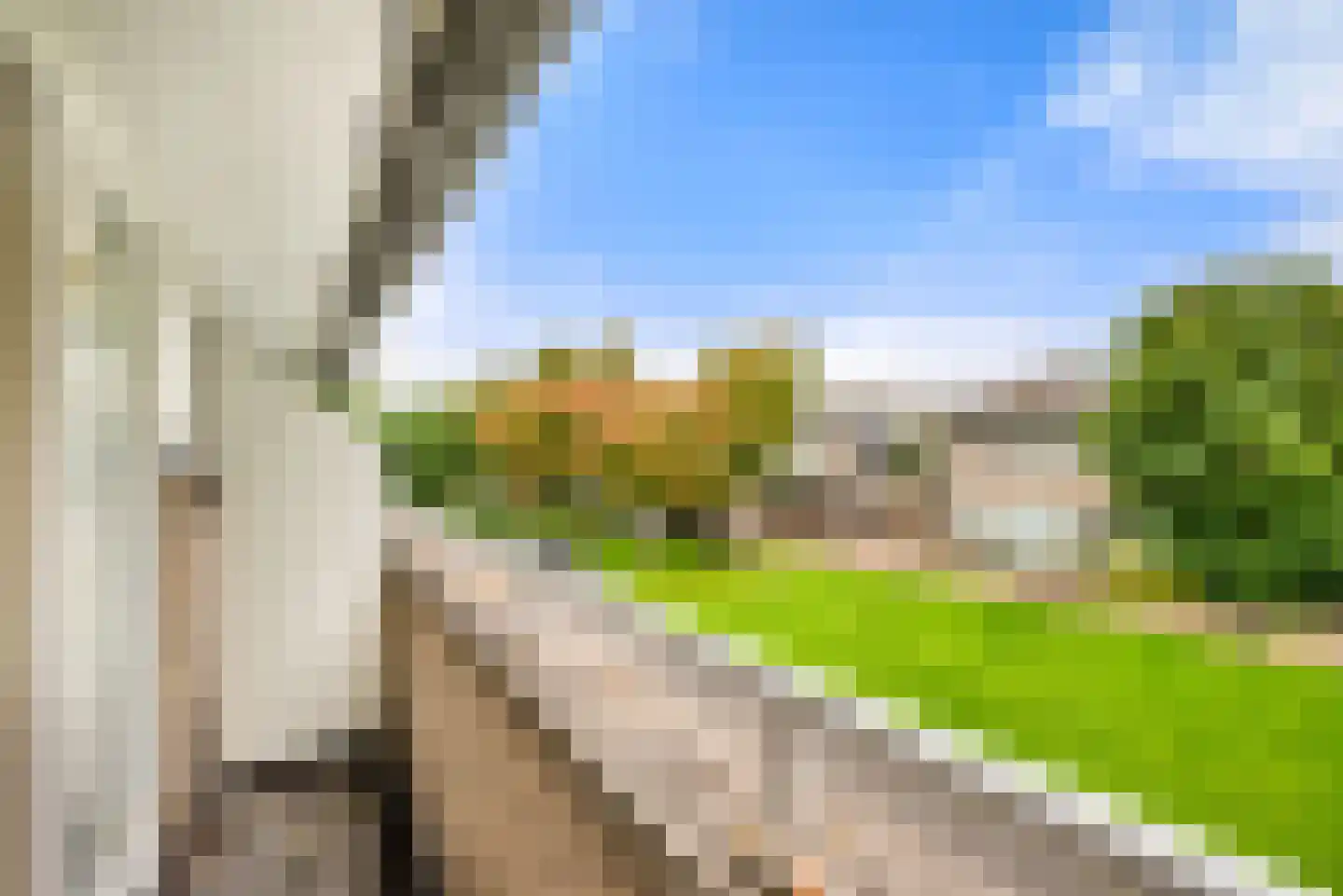 Kleine Zonnedauw 3 Velserbroek thumbnail 62