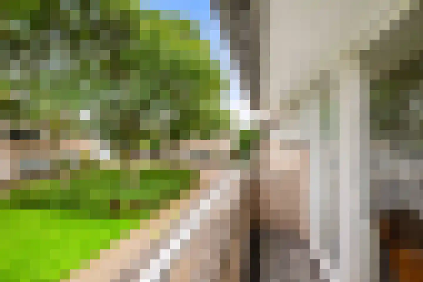 Kleine Zonnedauw 3 Velserbroek thumbnail 63
