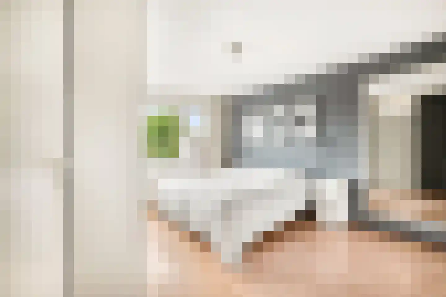 Kleine Zonnedauw 3 Velserbroek thumbnail 69