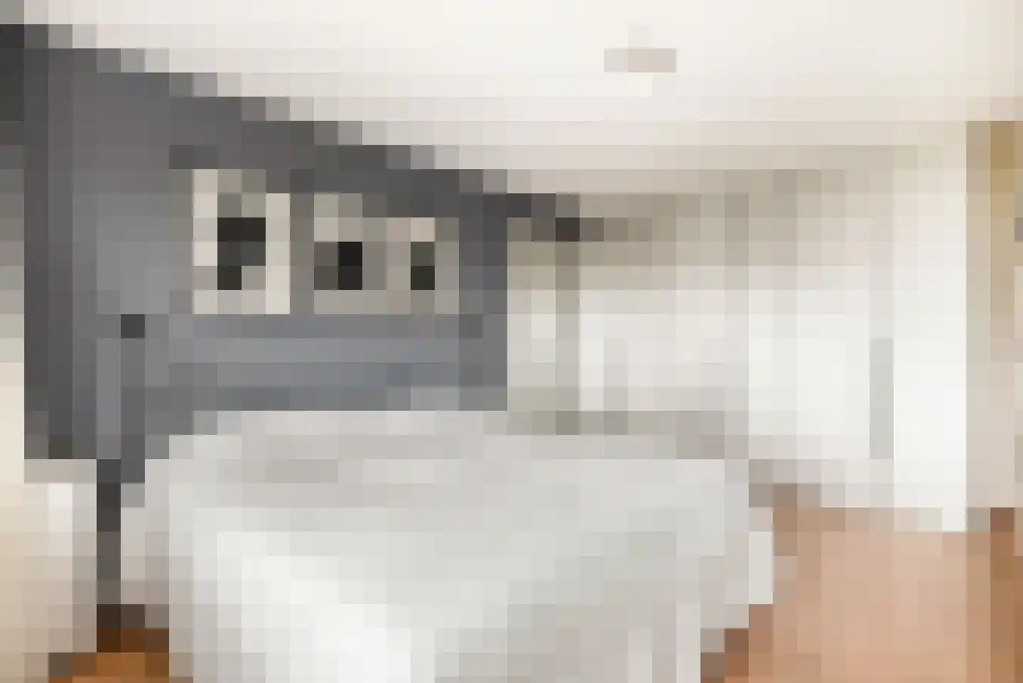 Kleine Zonnedauw 3 Velserbroek thumbnail 71