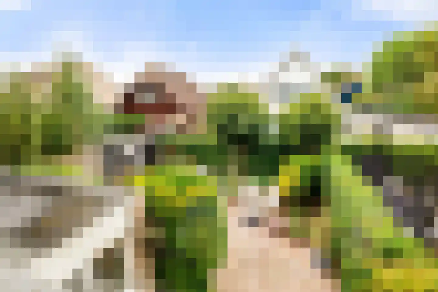 Kleine Zonnedauw 3 Velserbroek thumbnail 74