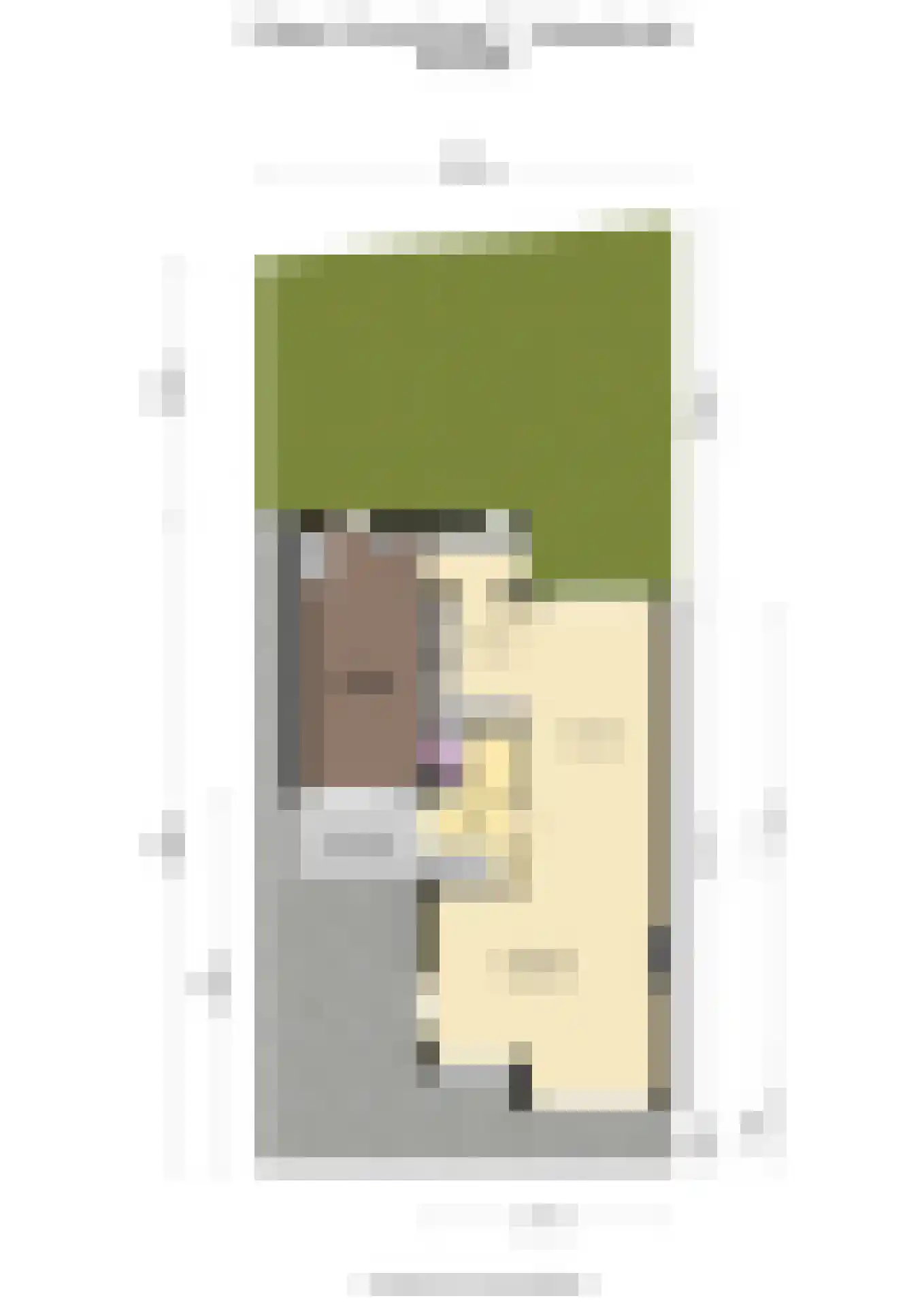 Kleine Zonnedauw 3 Velserbroek thumbnail 85