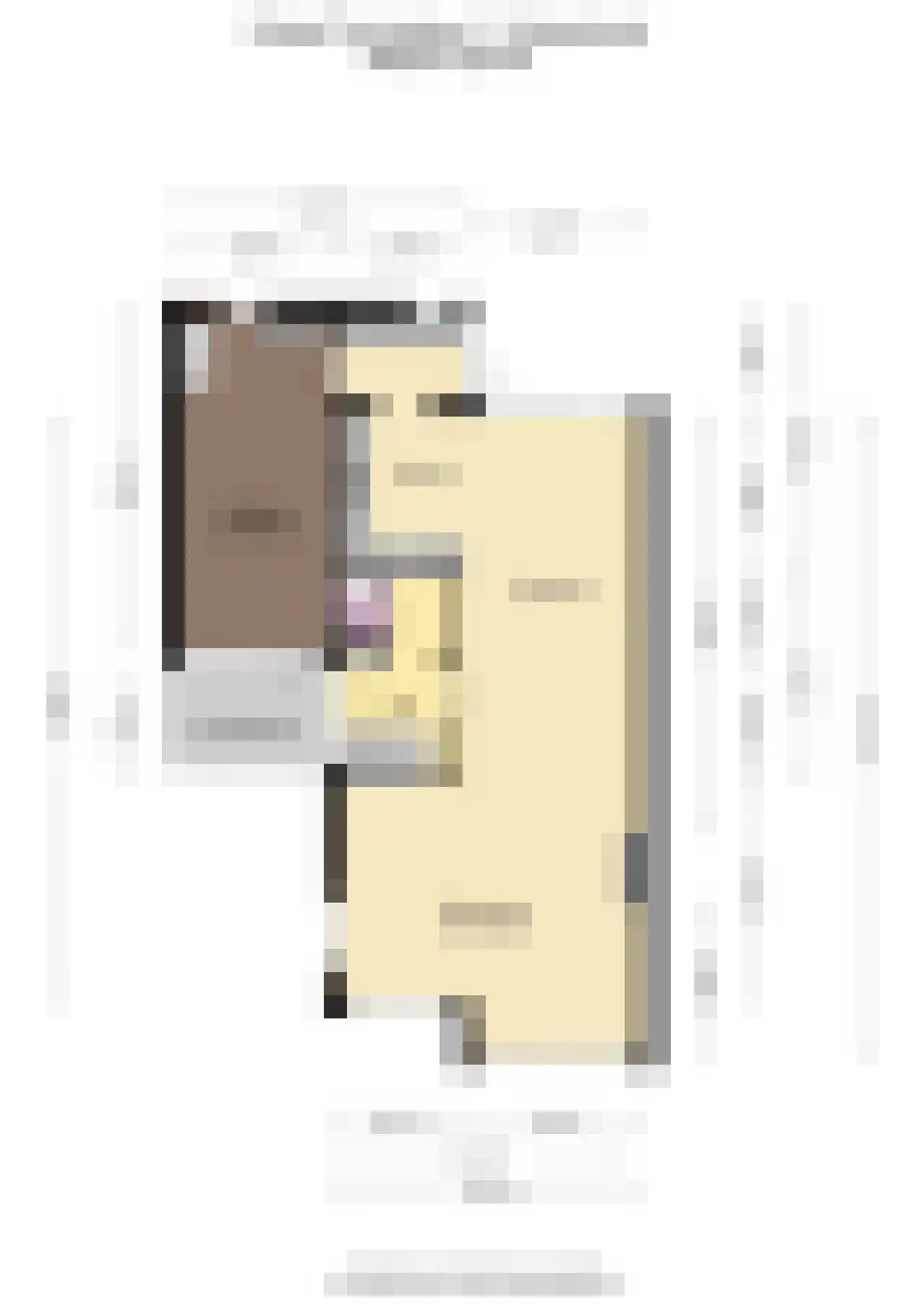 Kleine Zonnedauw 3 Velserbroek thumbnail 86
