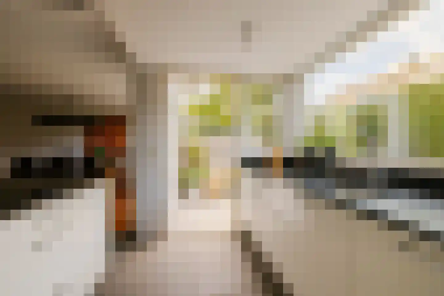 Kleine Zonnedauw 4 Velserbroek thumbnail 18