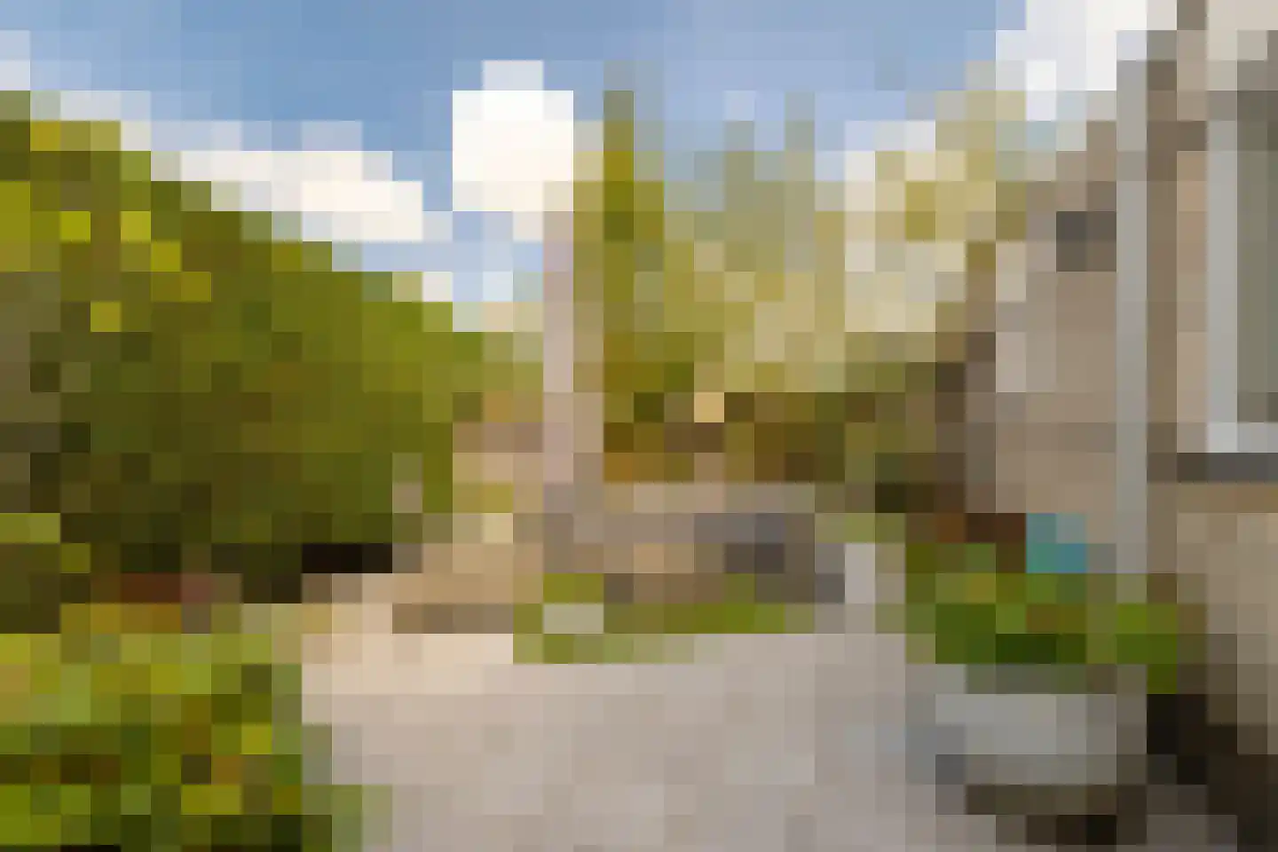 Kleine Zonnedauw 4 Velserbroek thumbnail 20
