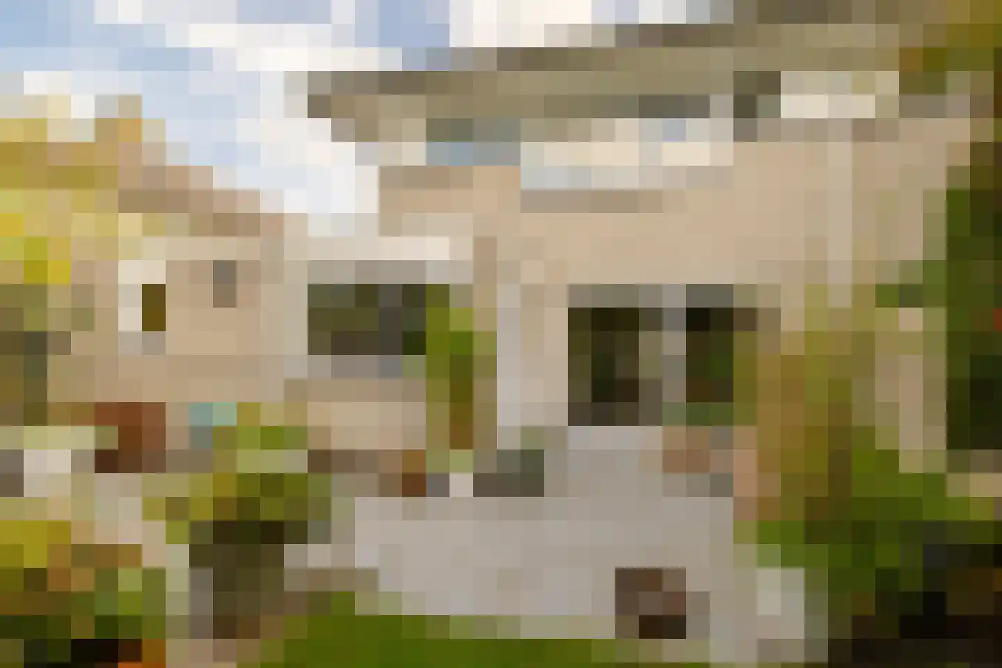Kleine Zonnedauw 4 Velserbroek thumbnail 21
