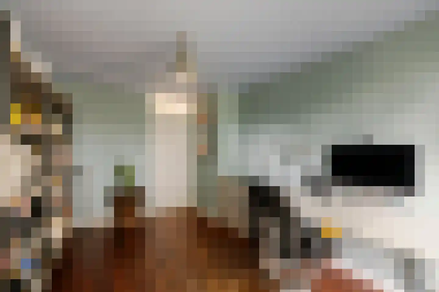 Kleine Zonnedauw 4 Velserbroek thumbnail 31