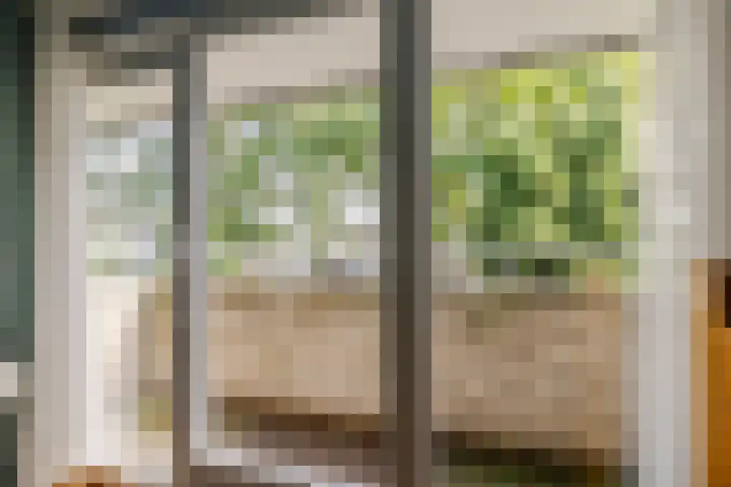 Kleine Zonnedauw 4 Velserbroek thumbnail 32