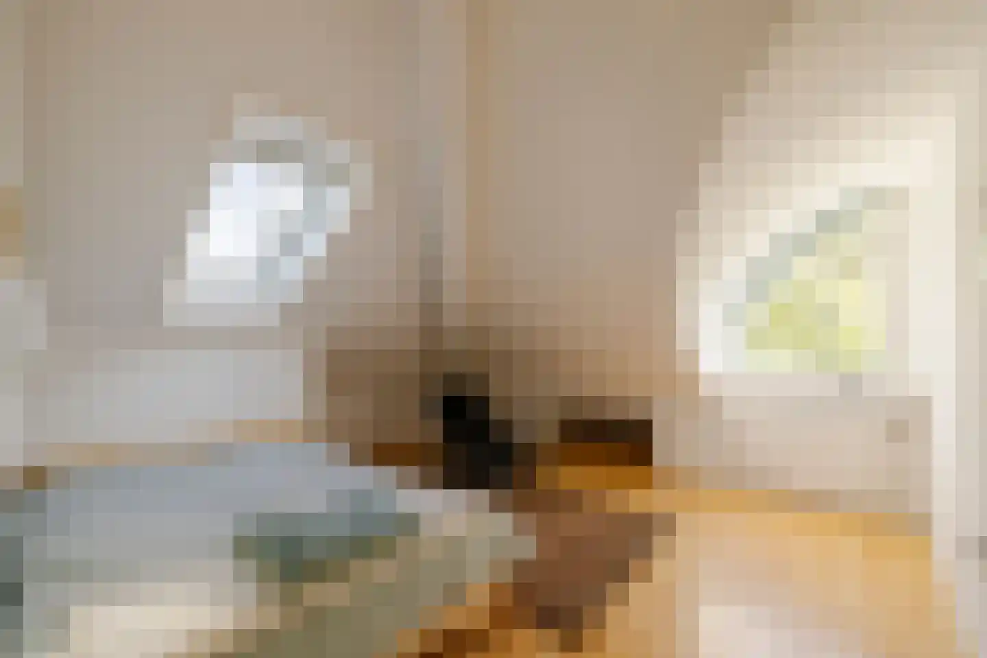 Kleine Zonnedauw 4 Velserbroek thumbnail 37