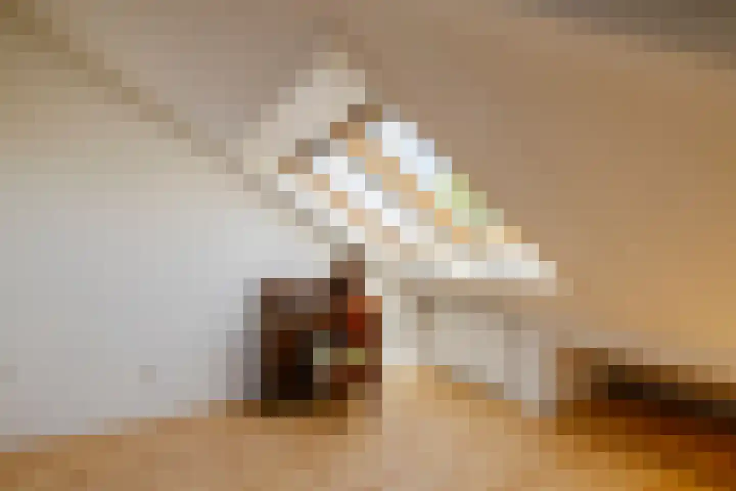 Kleine Zonnedauw 4 Velserbroek thumbnail 41
