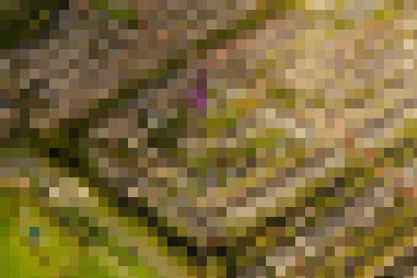 Kleine Zonnedauw 4 Velserbroek thumbnail 43