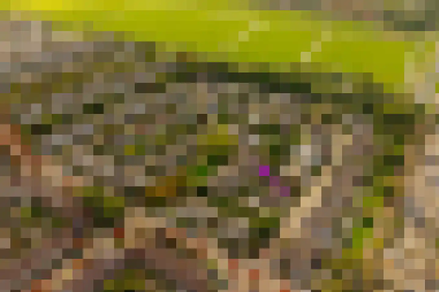Kleine Zonnedauw 4 Velserbroek thumbnail 47