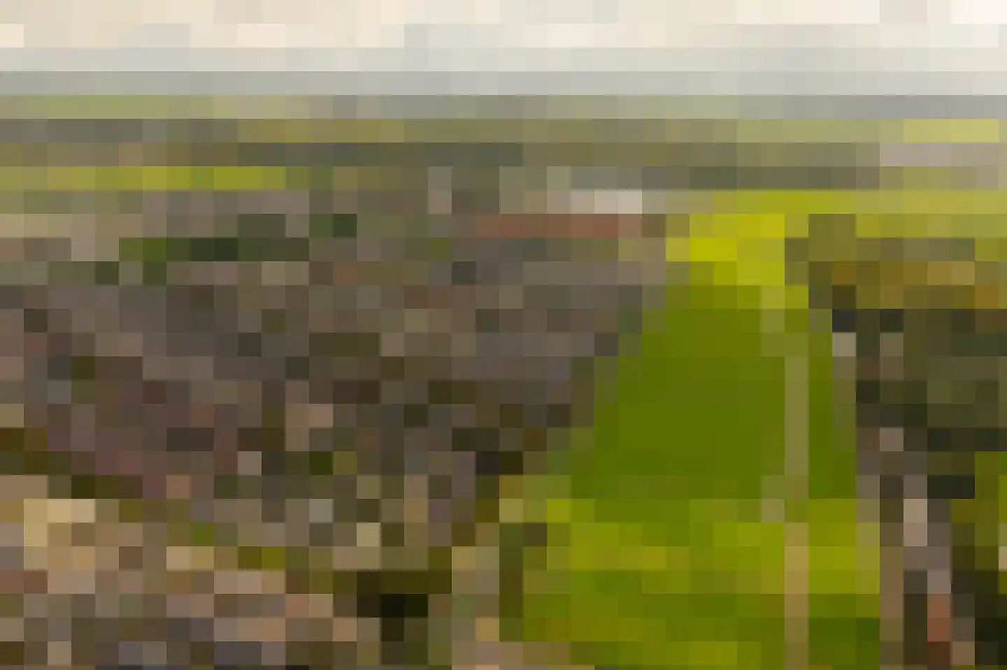 Kleine Zonnedauw 4 Velserbroek thumbnail 48