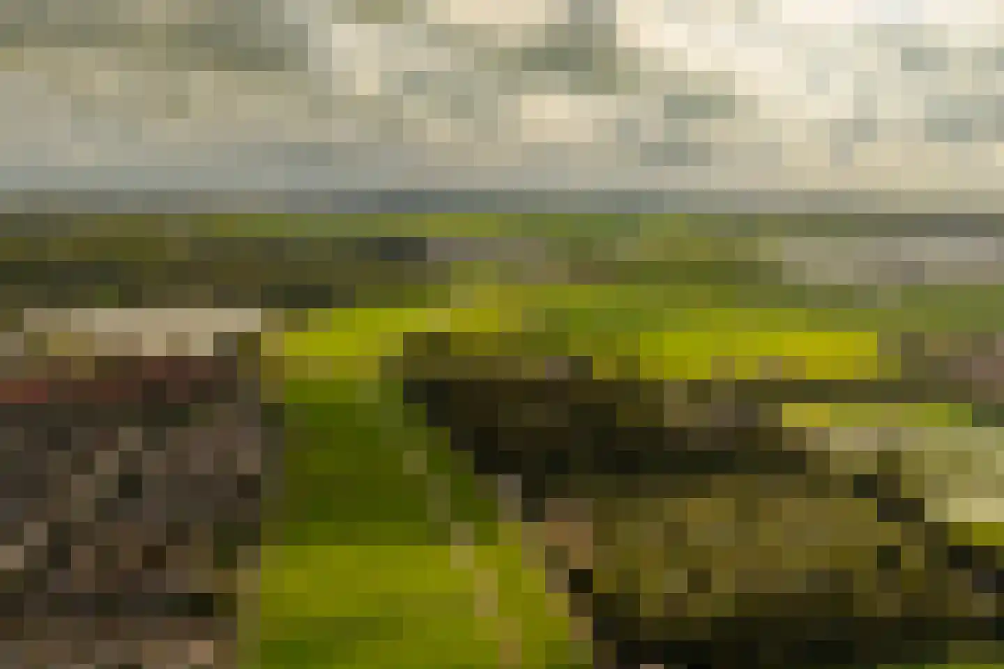 Kleine Zonnedauw 4 Velserbroek thumbnail 49