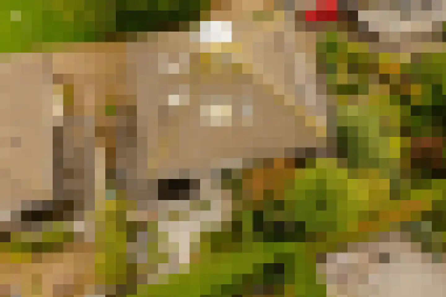 Kleine Zonnedauw 4 Velserbroek thumbnail 50