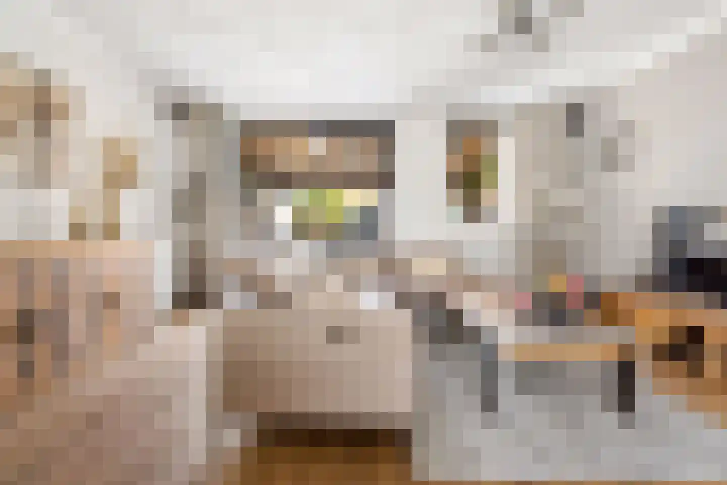 Kleinebogerd 3 Tull en 't Waal thumbnail 10