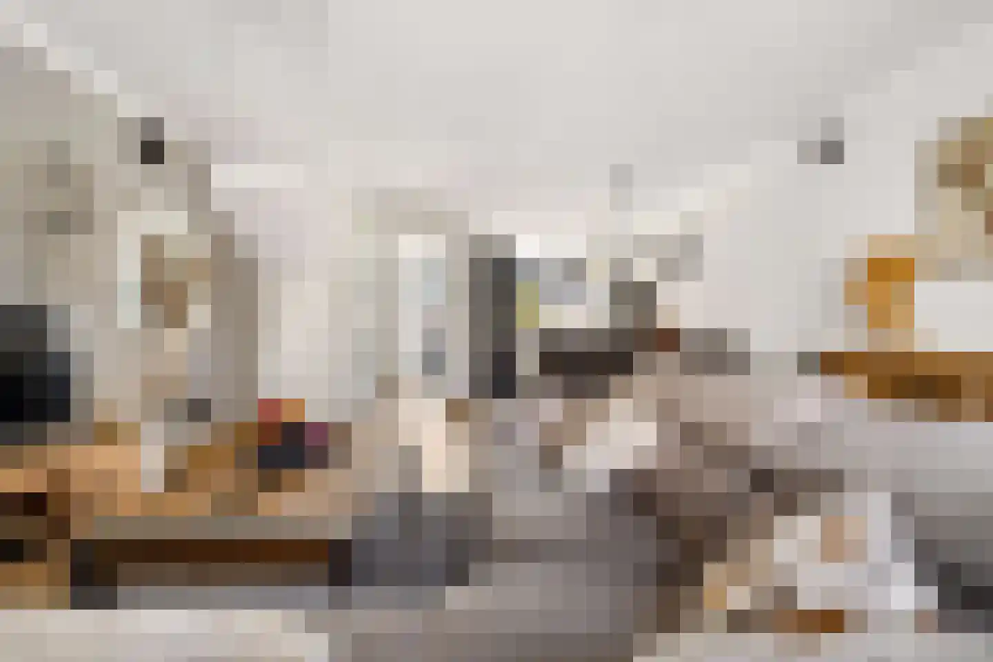 Kleinebogerd 3 Tull en 't Waal thumbnail 11