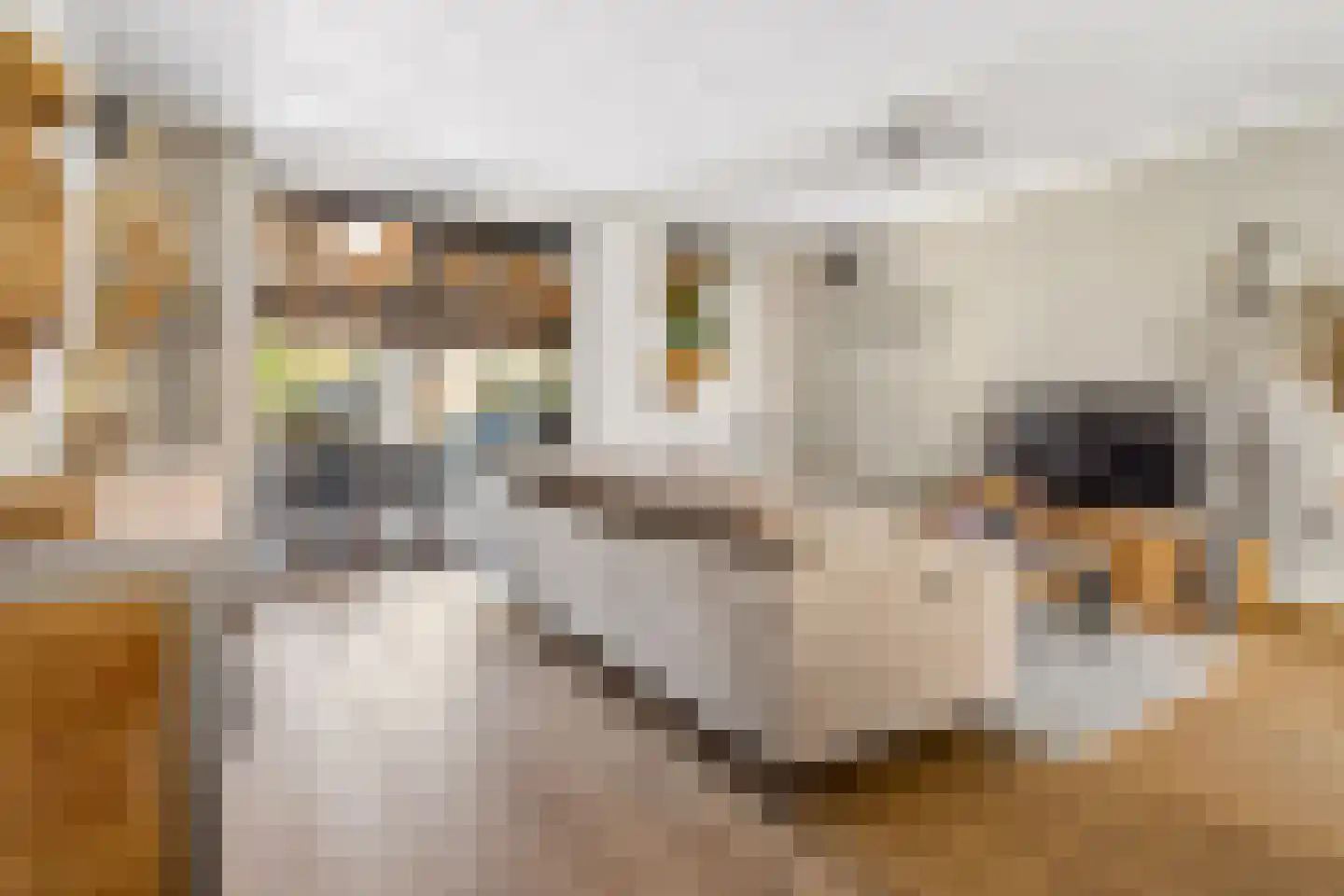 Kleinebogerd 3 Tull en 't Waal thumbnail 12