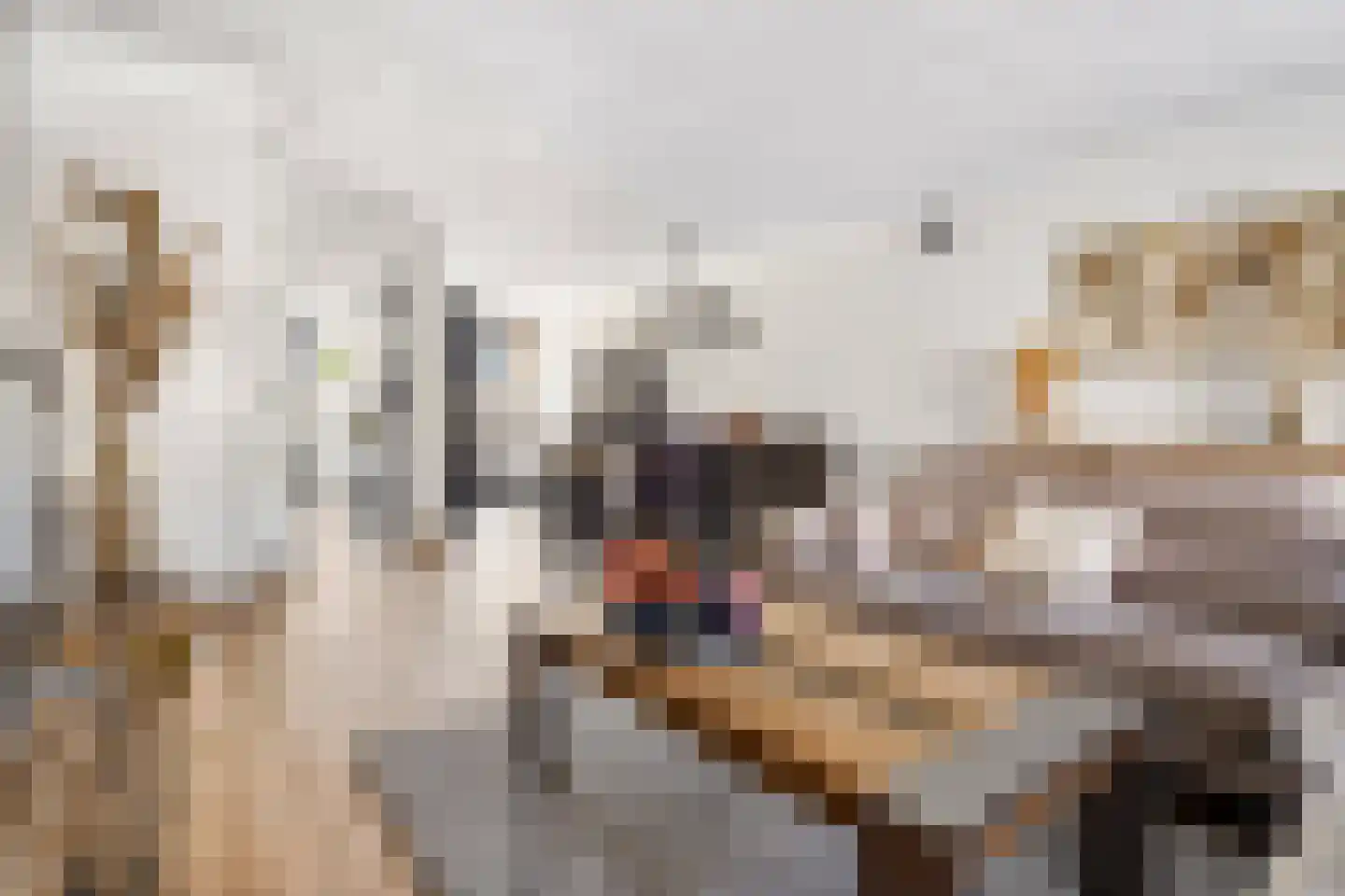 Kleinebogerd 3 Tull en 't Waal thumbnail 13