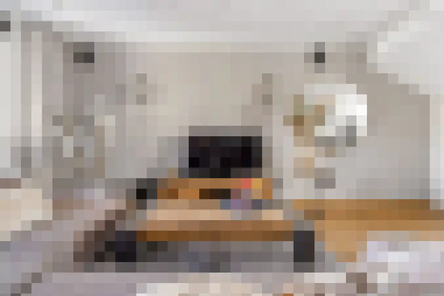 Kleinebogerd 3 Tull en 't Waal thumbnail 15