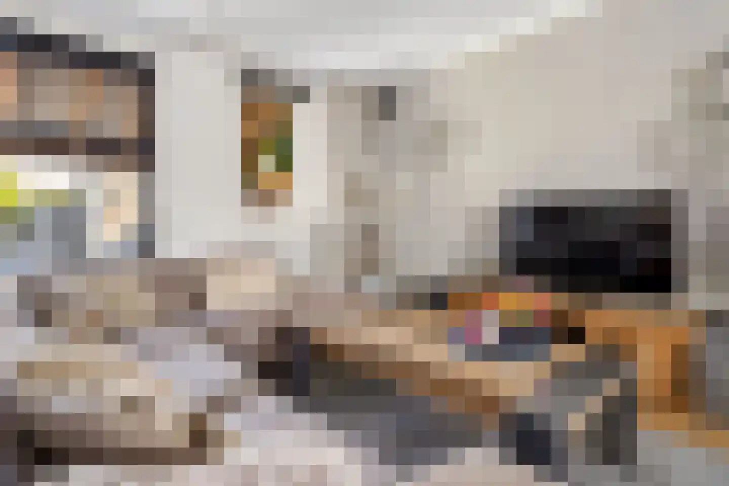 Kleinebogerd 3 Tull en 't Waal thumbnail 16
