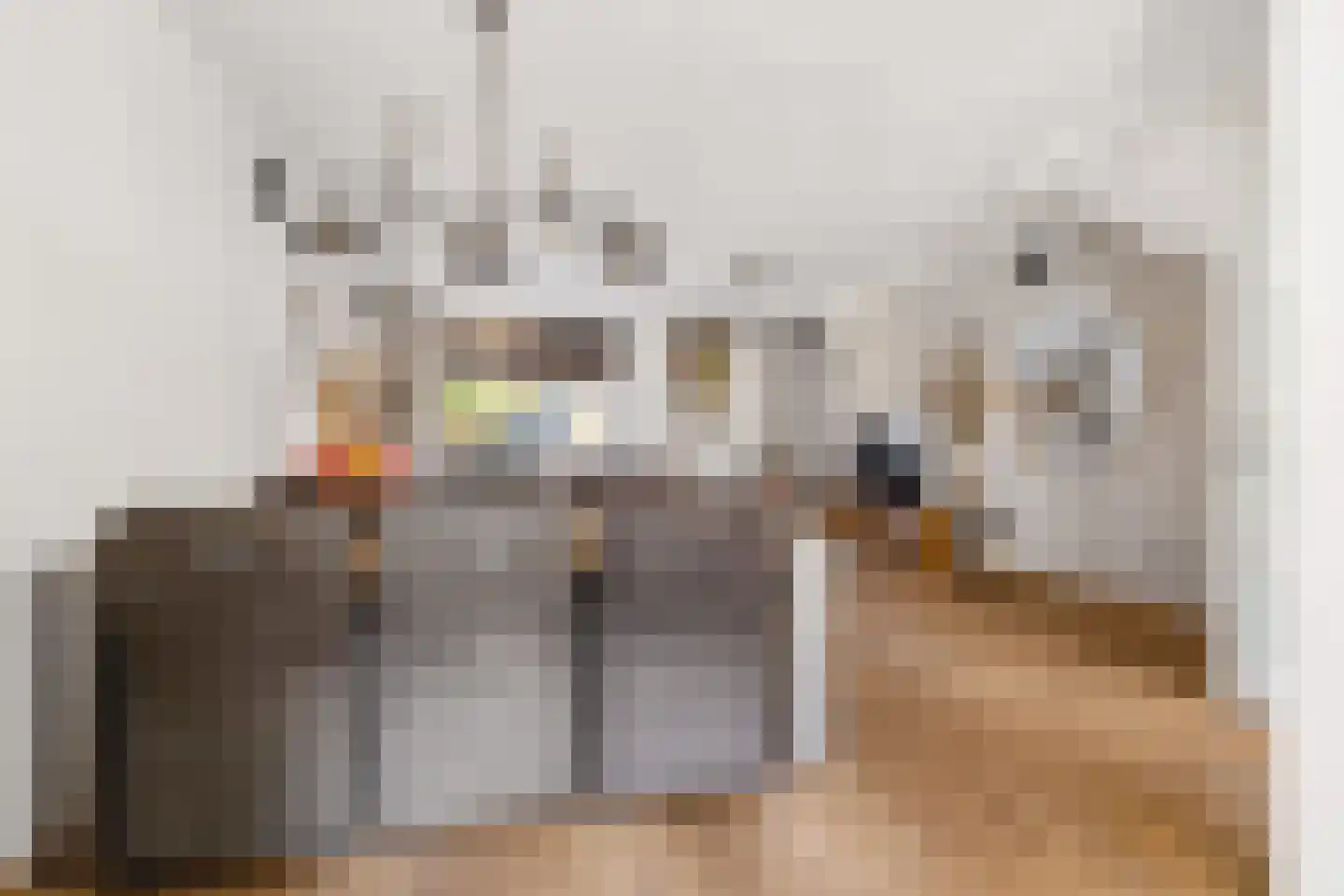 Kleinebogerd 3 Tull en 't Waal thumbnail 19