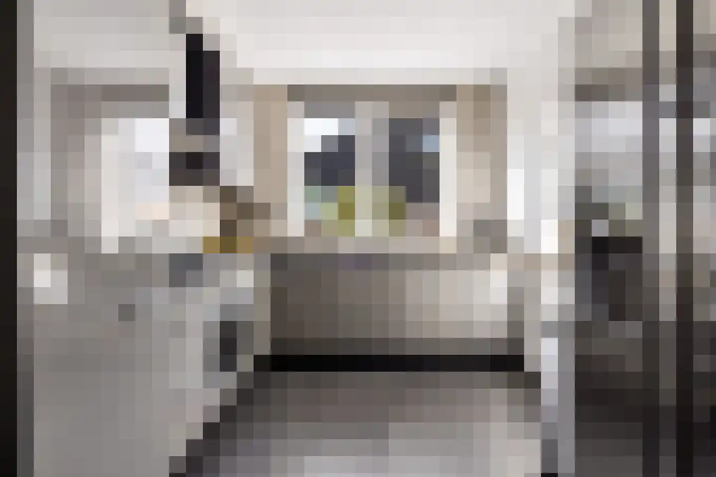 Kleinebogerd 3 Tull en 't Waal thumbnail 20