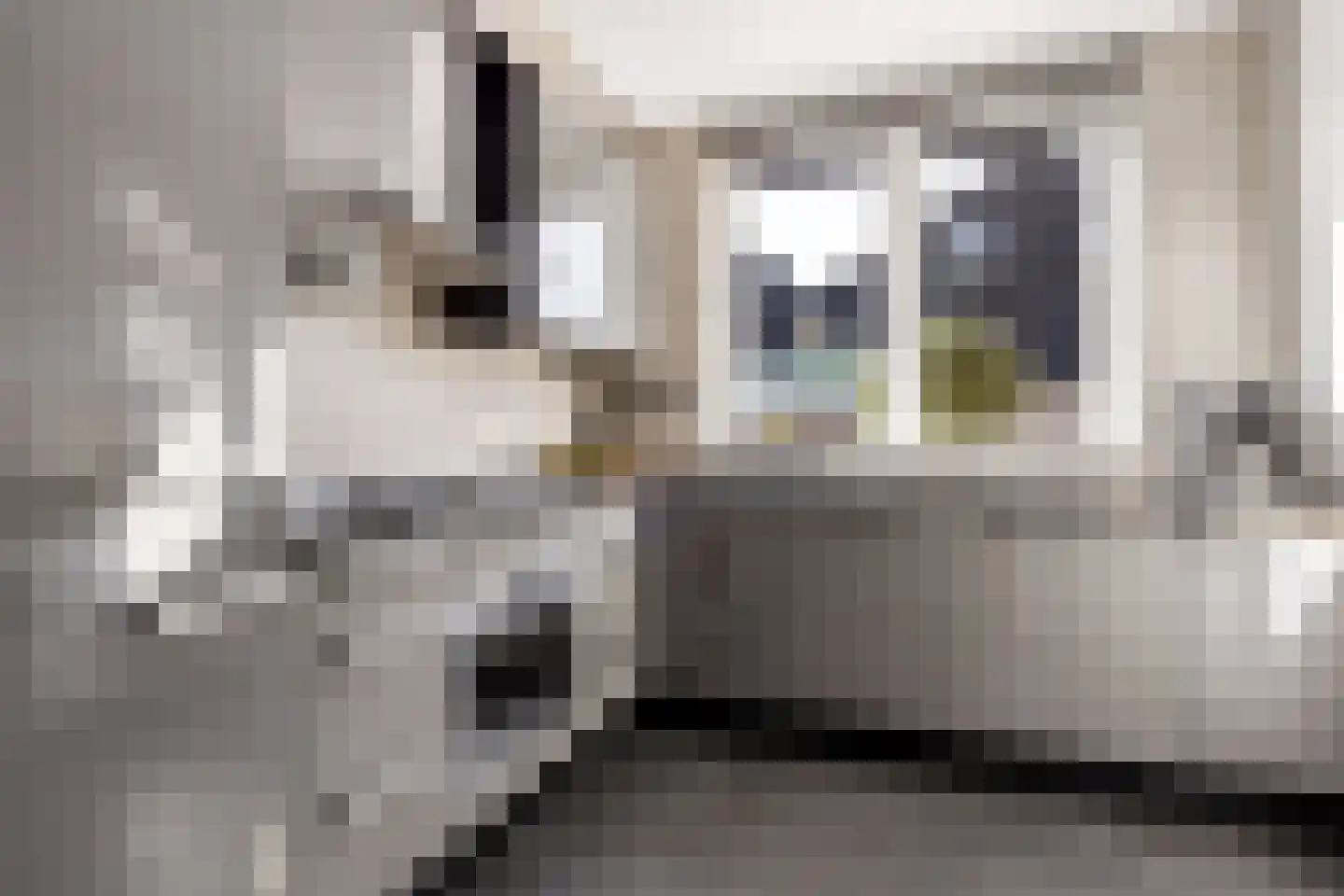 Kleinebogerd 3 Tull en 't Waal thumbnail 22