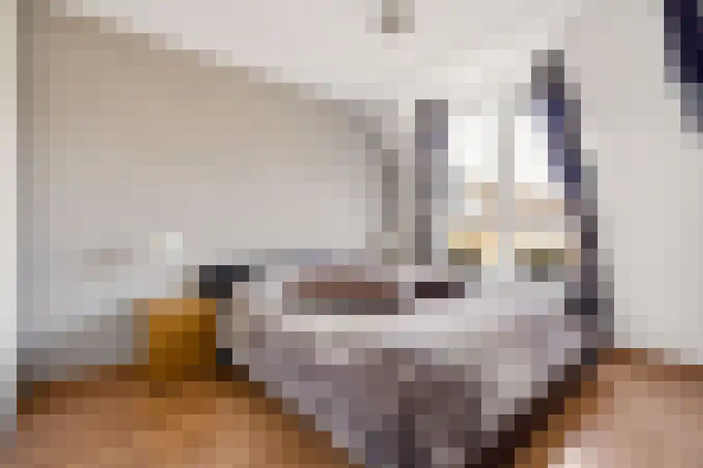 Kleinebogerd 3 Tull en 't Waal thumbnail 25