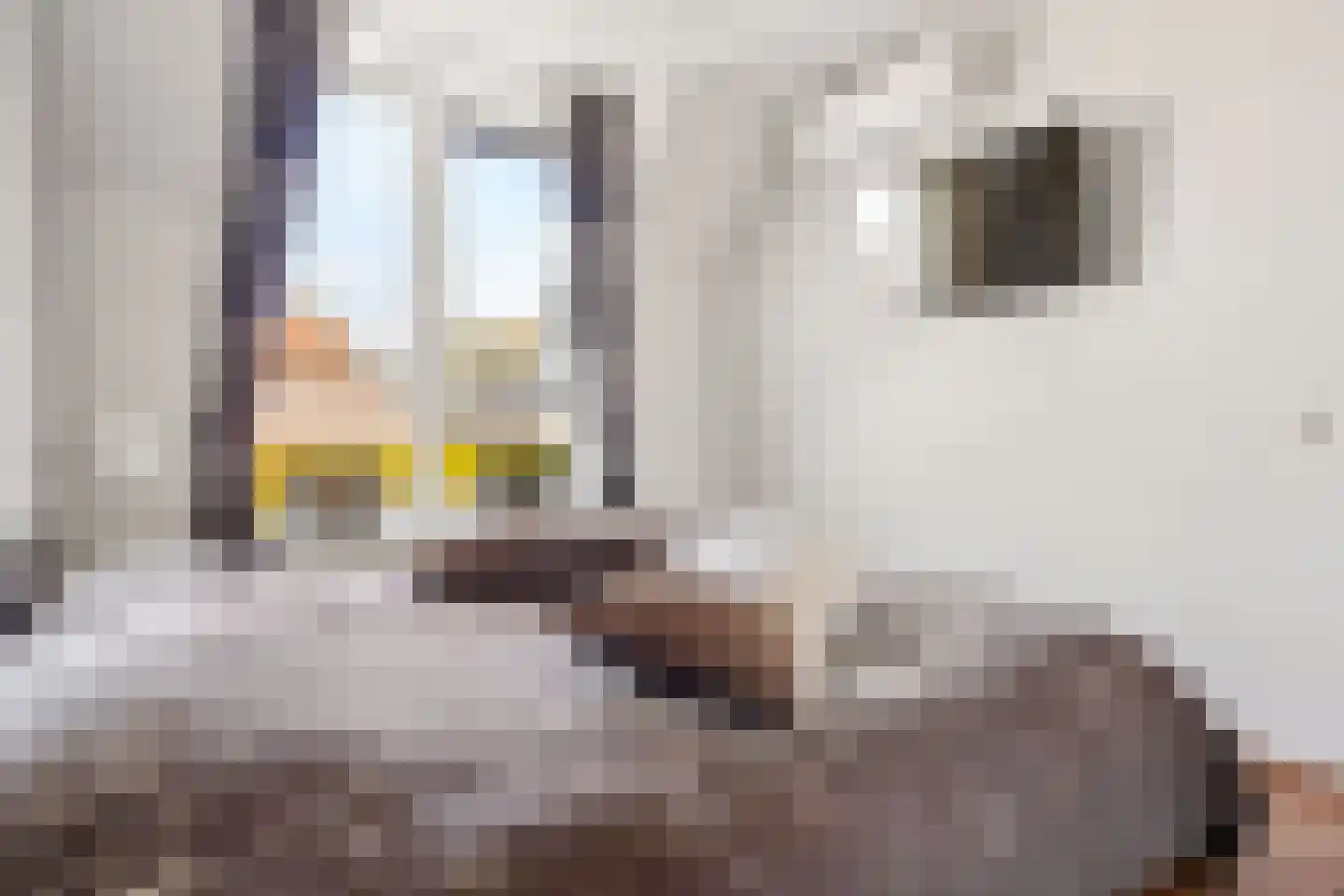 Kleinebogerd 3 Tull en 't Waal thumbnail 26