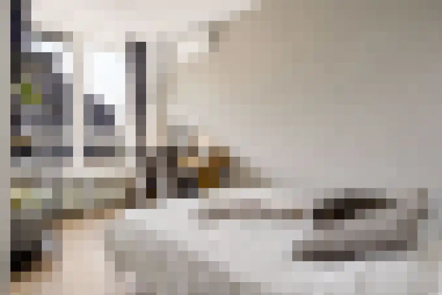 Kleinebogerd 3 Tull en 't Waal thumbnail 29
