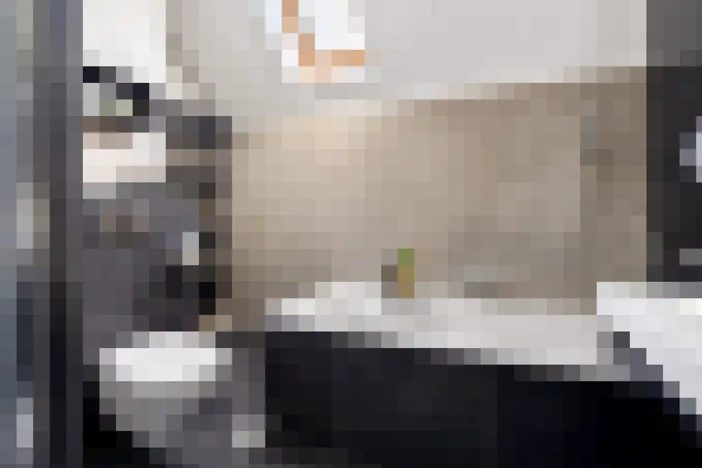 Kleinebogerd 3 Tull en 't Waal thumbnail 33