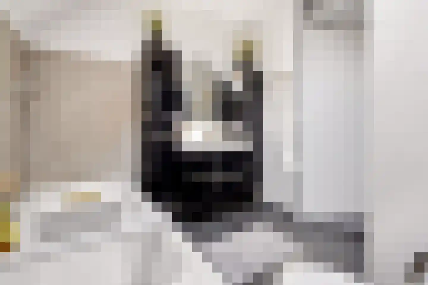 Kleinebogerd 3 Tull en 't Waal thumbnail 34