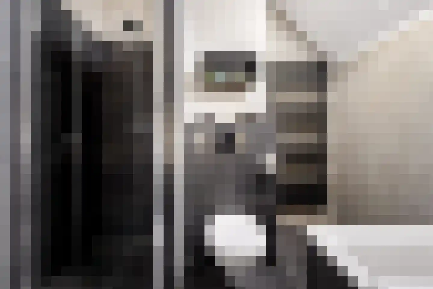 Kleinebogerd 3 Tull en 't Waal thumbnail 35