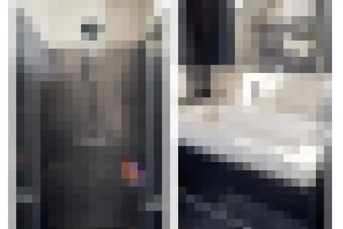 Kleinebogerd 3 Tull en 't Waal thumbnail 36