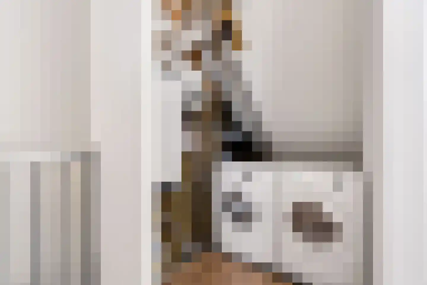 Kleinebogerd 3 Tull en 't Waal thumbnail 38