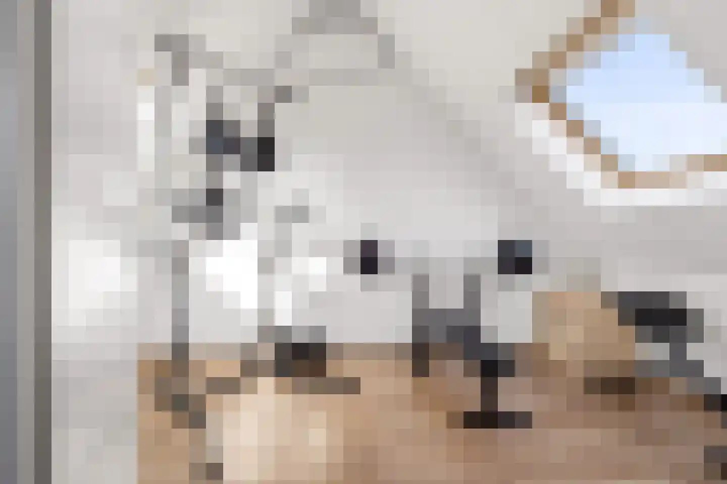 Kleinebogerd 3 Tull en 't Waal thumbnail 39