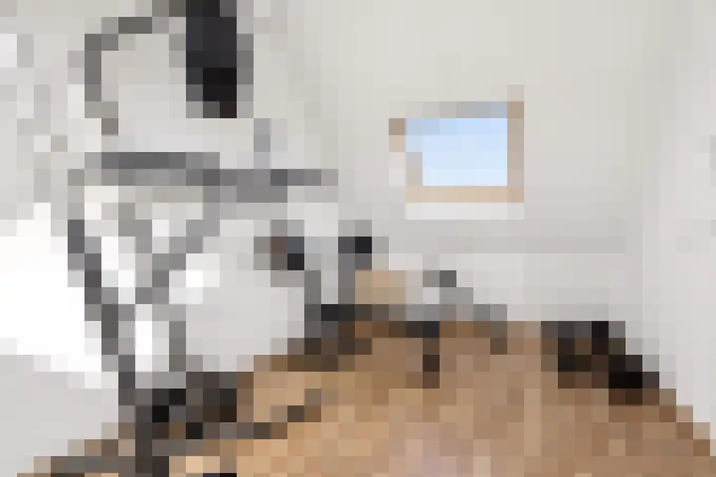 Kleinebogerd 3 Tull en 't Waal thumbnail 41