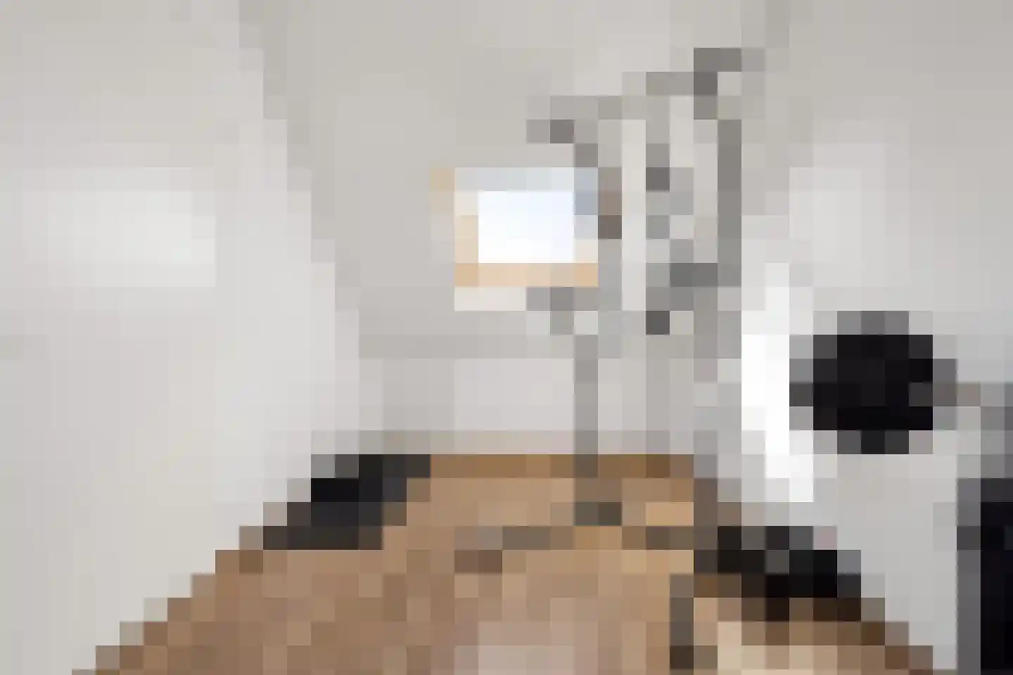 Kleinebogerd 3 Tull en 't Waal thumbnail 42