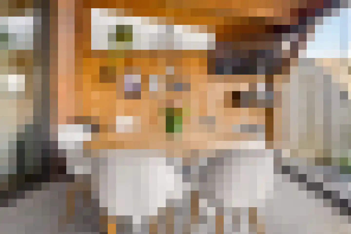 Kleinebogerd 3 Tull en 't Waal thumbnail 44