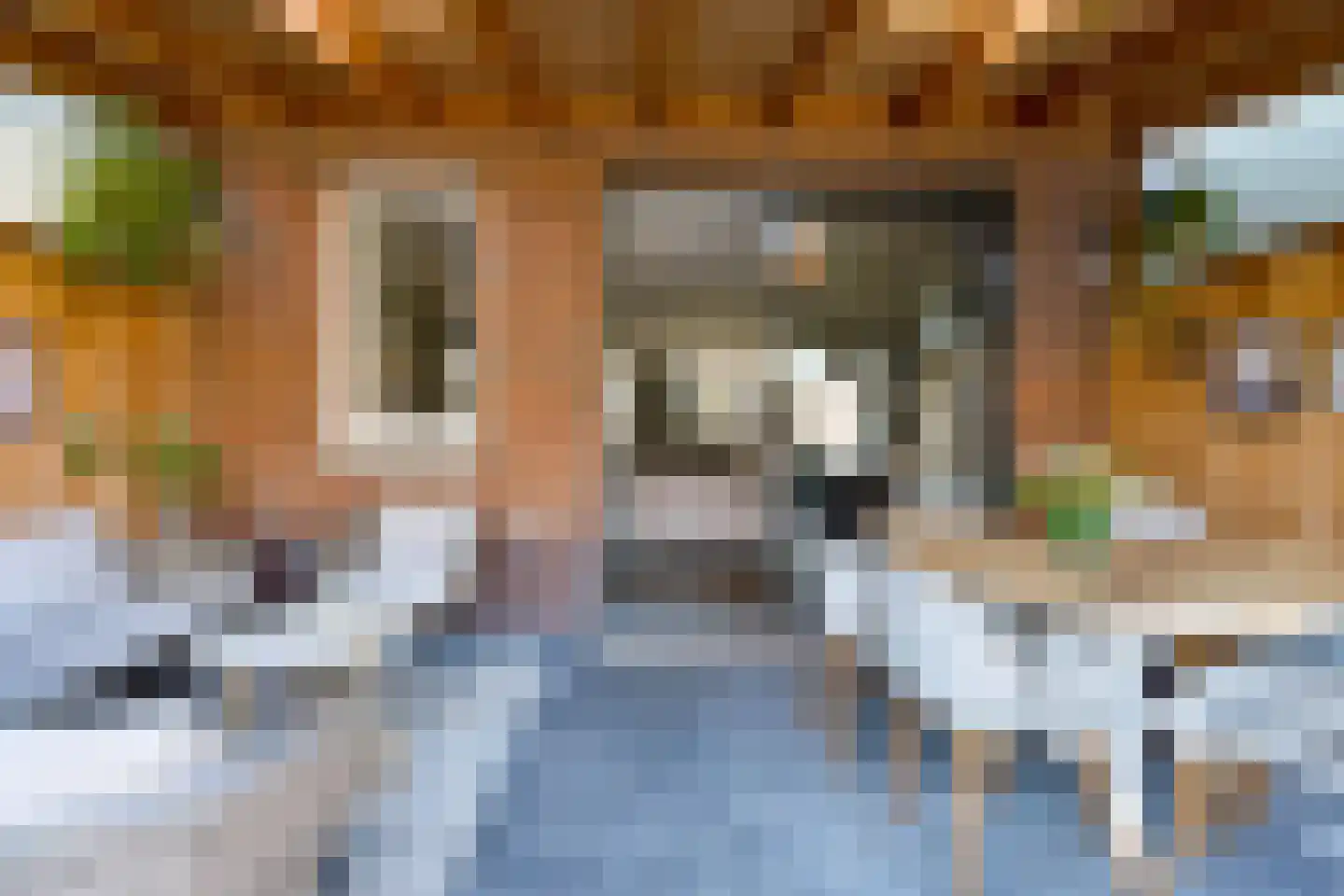 Kleinebogerd 3 Tull en 't Waal thumbnail 48
