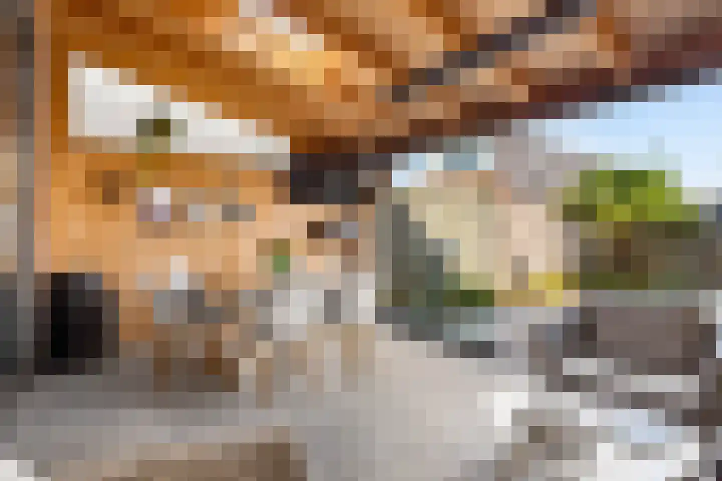 Kleinebogerd 3 Tull en 't Waal thumbnail 49