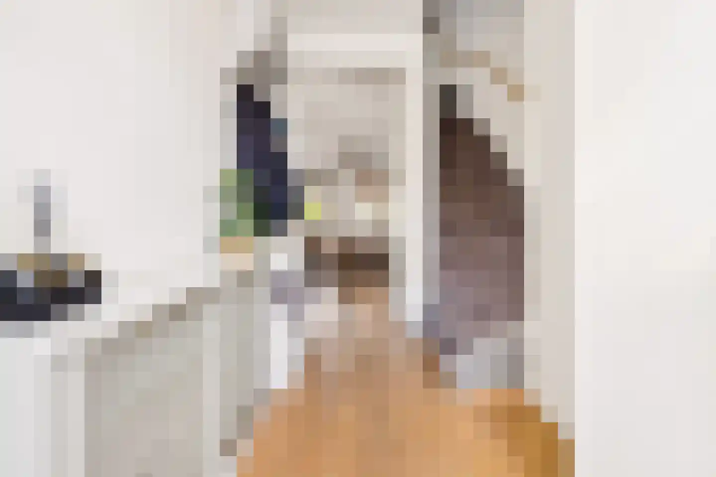 Kleinebogerd 3 Tull en 't Waal thumbnail 5